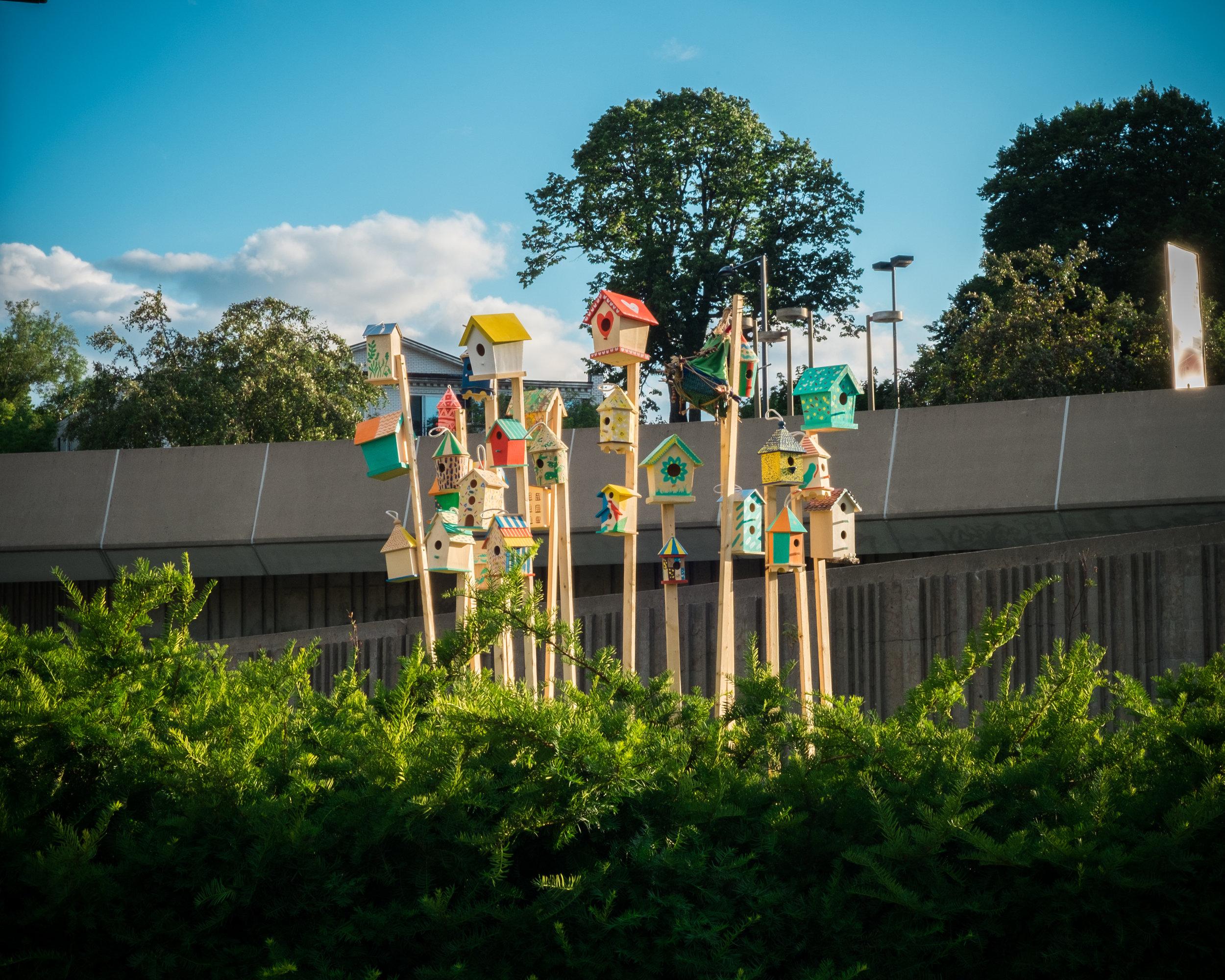 Les Jardineries_Steven Porotto_DSCF6482.jpg