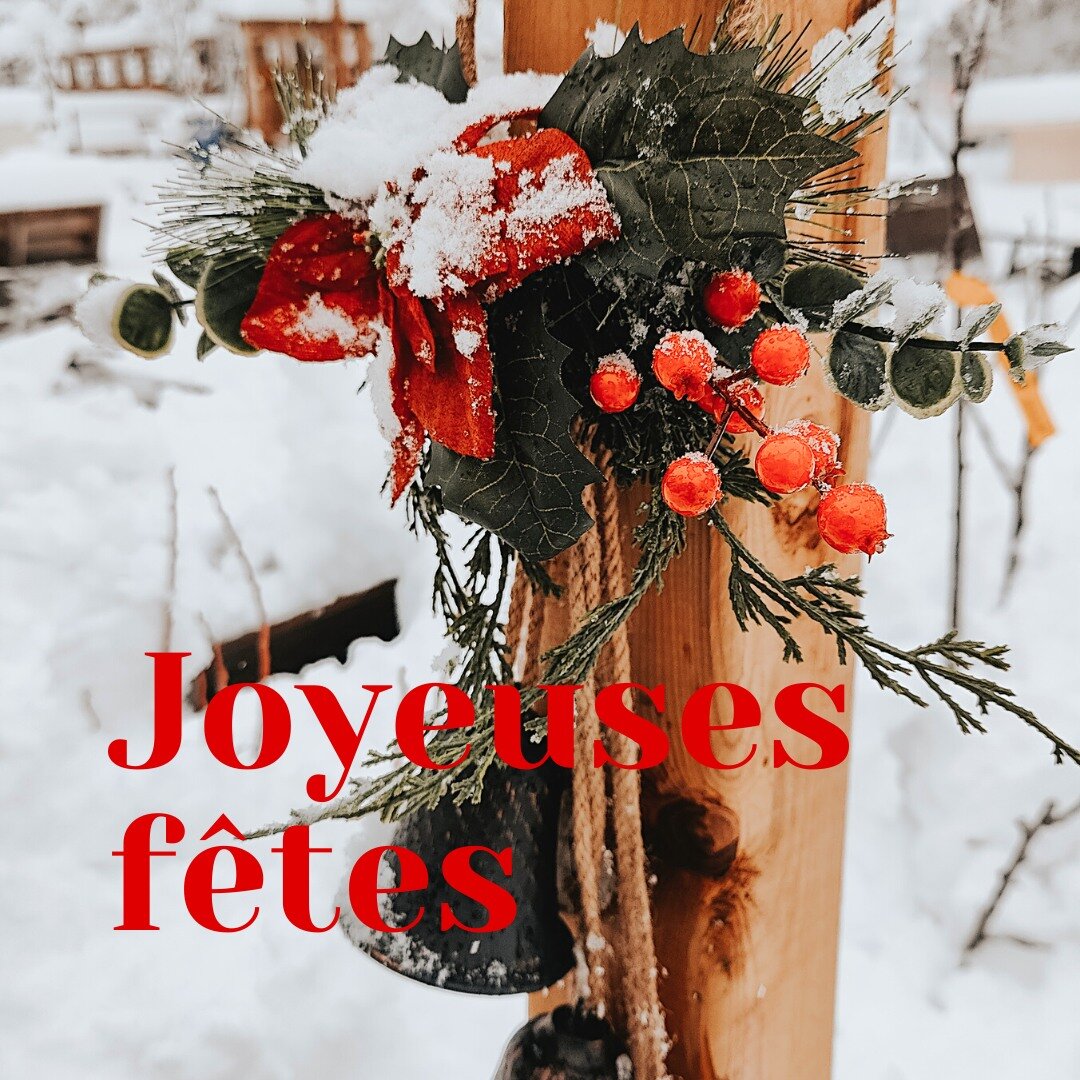 Le jardin sera ferm&eacute; durant cette fin d'ann&eacute;e, on se retrouve le samedi 14 janvier 2023 avec plein de surprises ! ❄
Toute l'&eacute;quipe de la P&eacute;pini&egrave;re vous souhaite de joyeuses f&ecirc;tes ! ✨